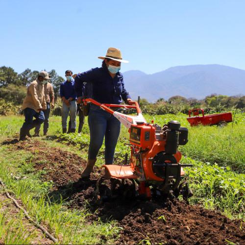 Prueba de 